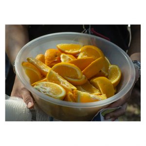 A bowl of sliced oranges