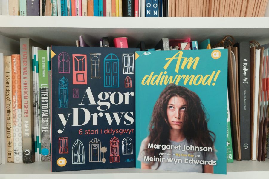 Two Welsh language books, aimed at learners, on a bookshelf.